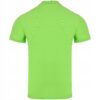 Koszulka polo męska zielony Lambeste